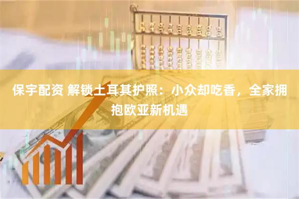 保宇配资 解锁土耳其护照：小众却吃香，全家拥抱欧亚新机遇